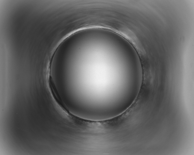 X0000089901524200707051258
