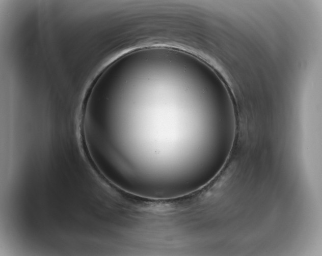 X0000089901525200707051258