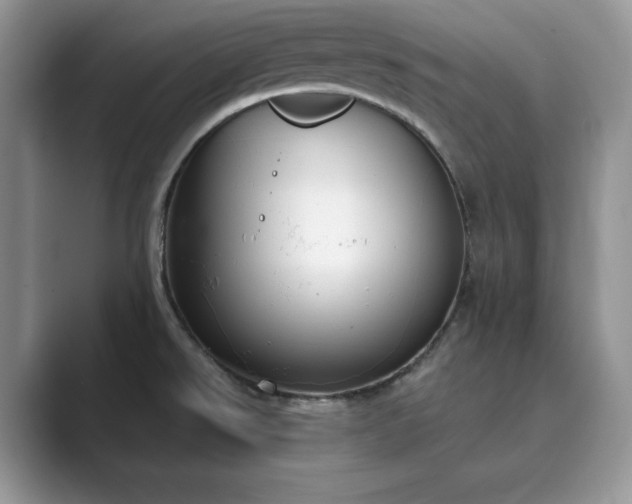 X0000089901526200707051258