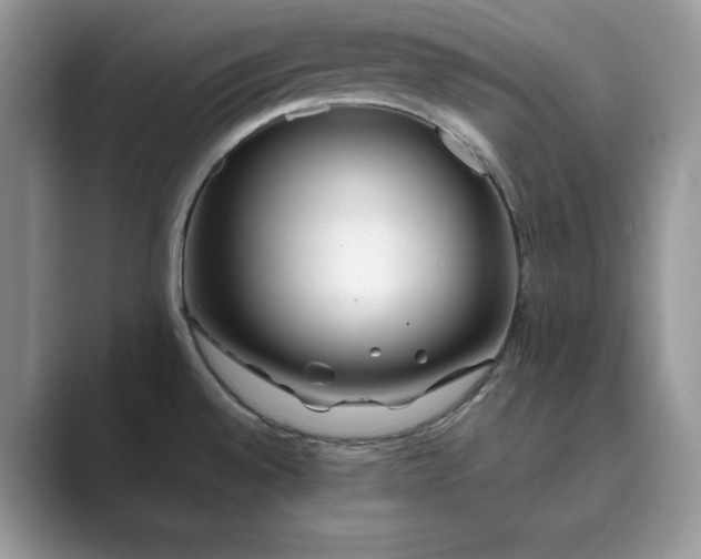 X0000089901528200707051258