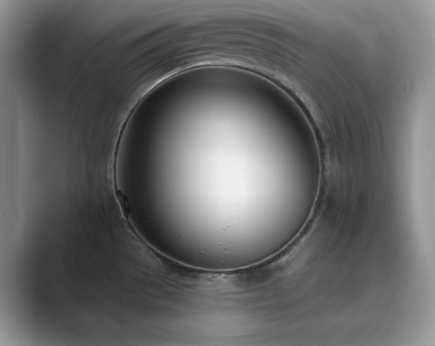 X0000089901529200707051258