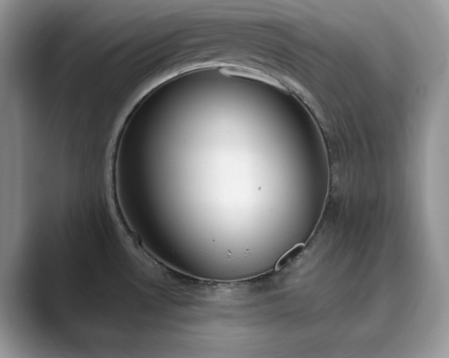 X0000089901530200707051258
