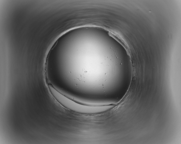 X0000089901532200707051258