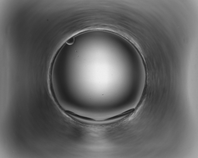 X0000089901533200707051258
