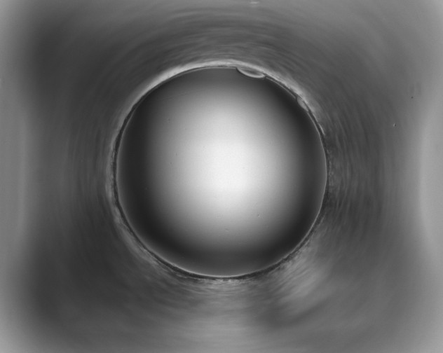 X0000089901534200707051258