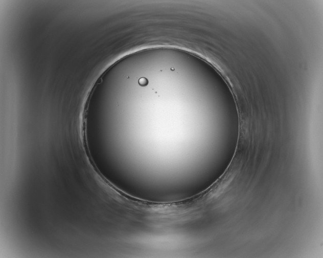 X0000089901535200707051258