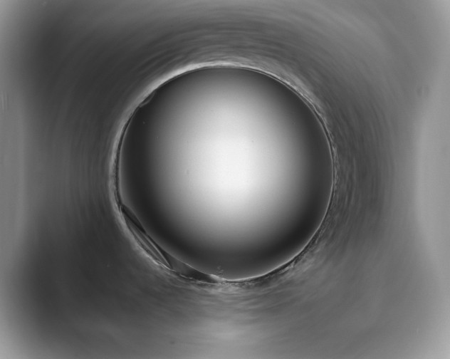X0000089901536200707051258
