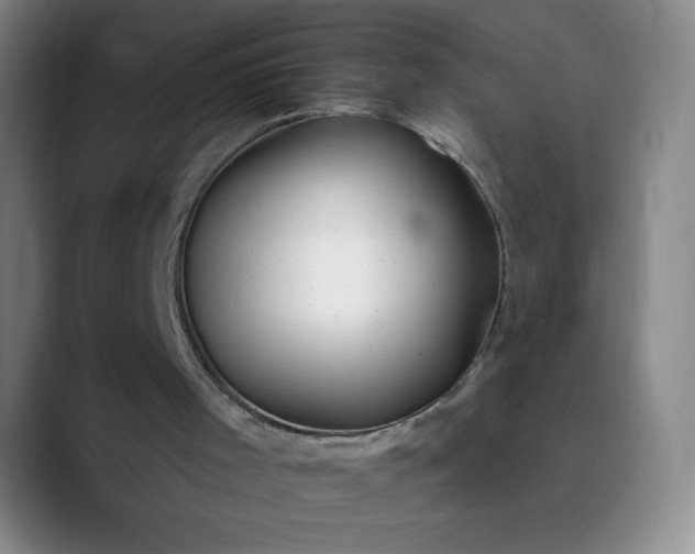X0000089900001200707121858