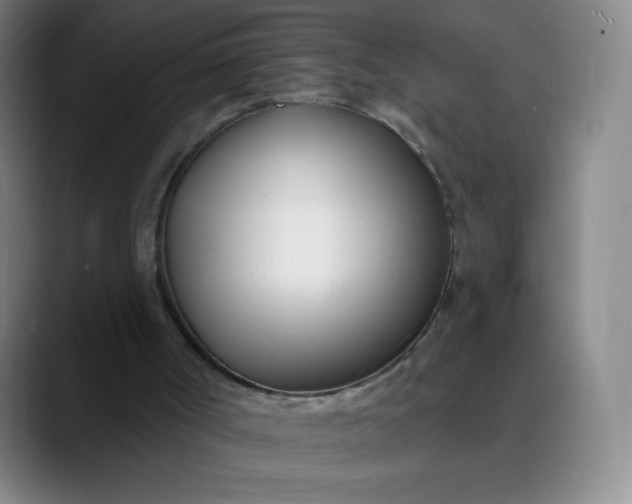 X0000089900002200707121858