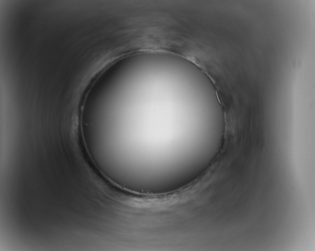 X0000089900005200707121858