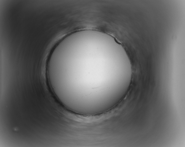 X0000089900006200707121858