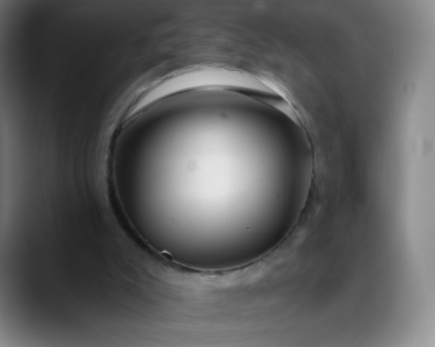 X0000089900007200707121858