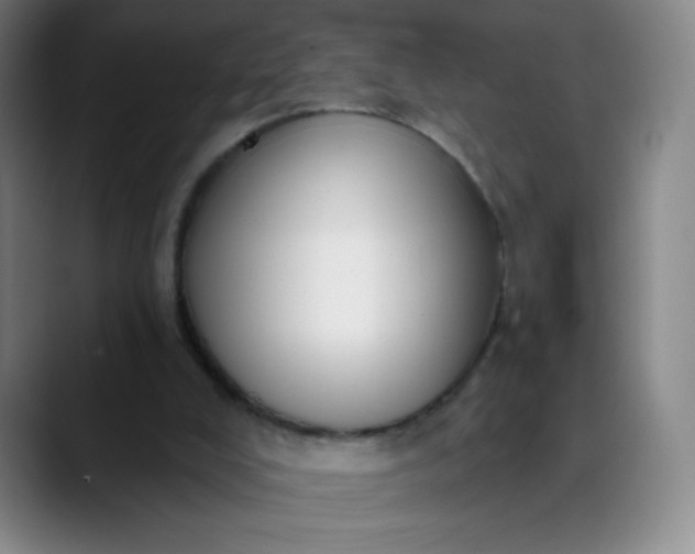 X0000089900008200707121858