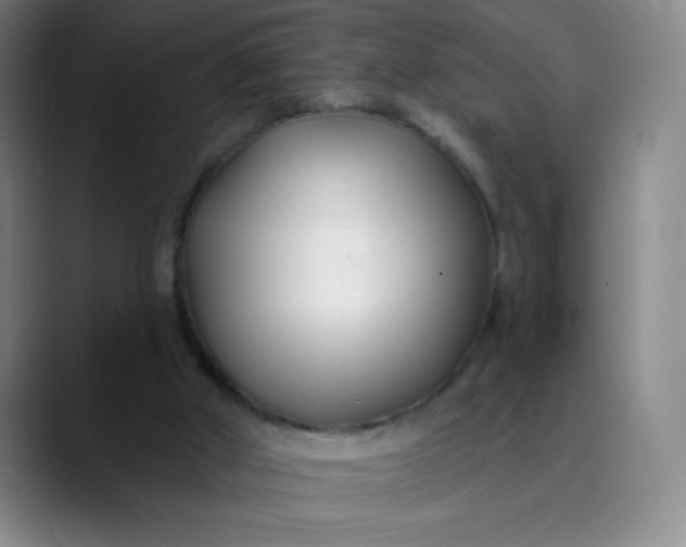 X0000089900010200707121858