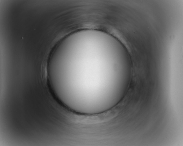 X0000089900011200707121858