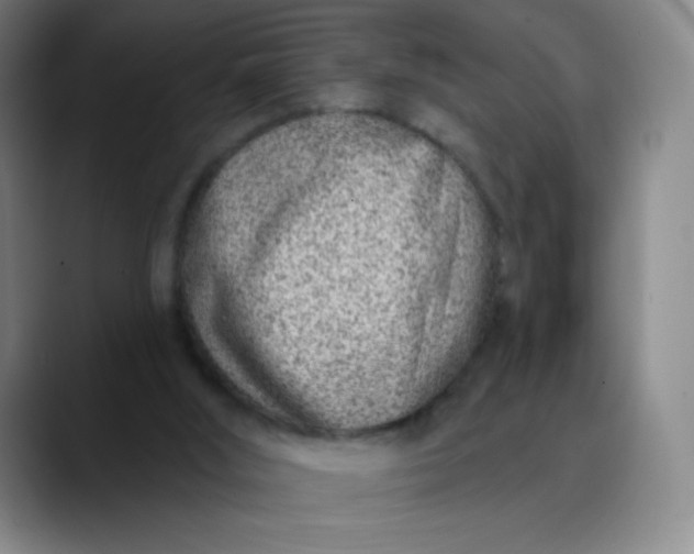 X0000089900012200707121858
