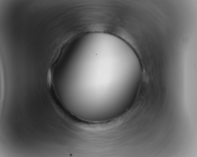 X0000089900013200707121858