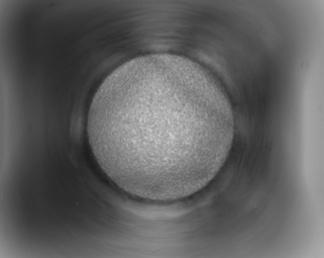 X0000089900016200707121858