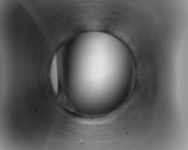 X0000089900017200707121858