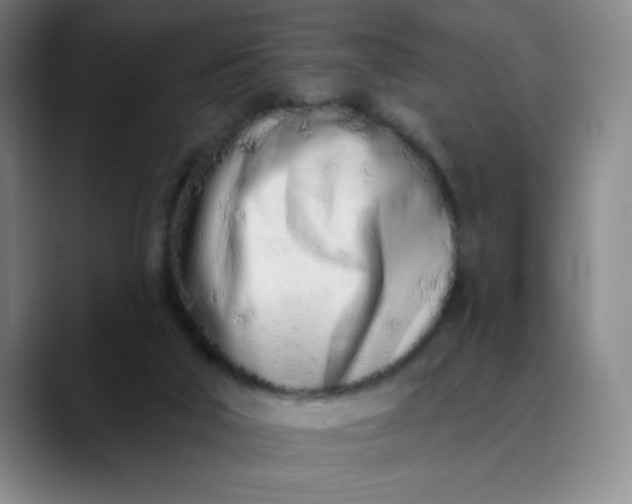 X0000089900018200707121858