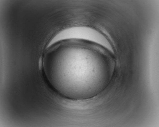 X0000089900019200707121858