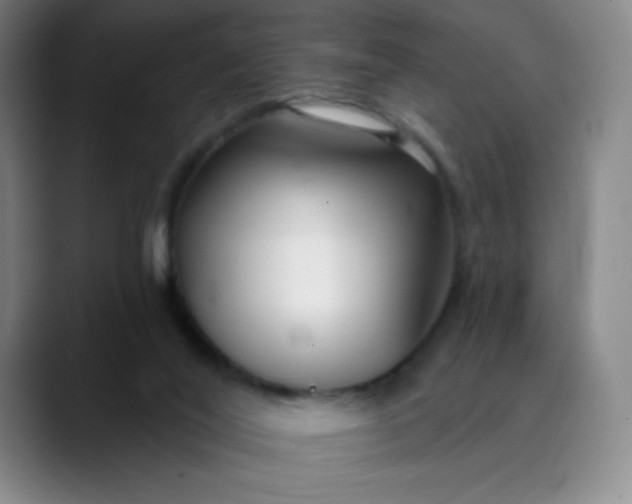X0000089900020200707121858