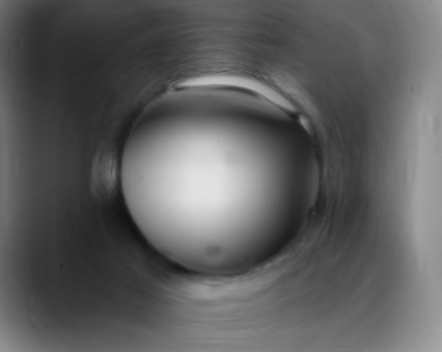 X0000089900021200707121858