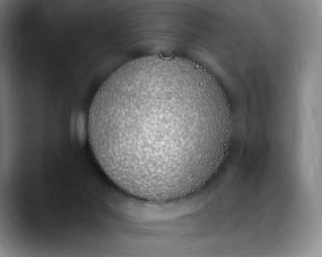 X0000089900022200707121858