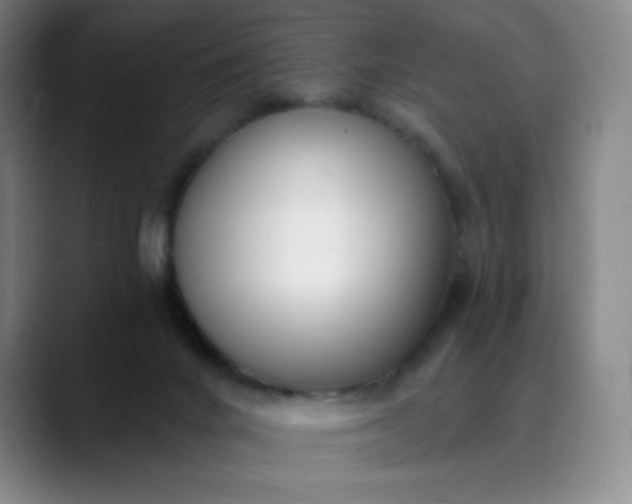 X0000089900024200707121858
