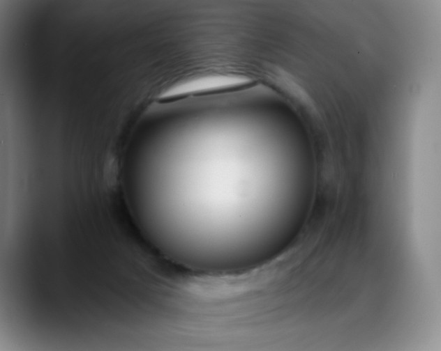 X0000089900025200707121858