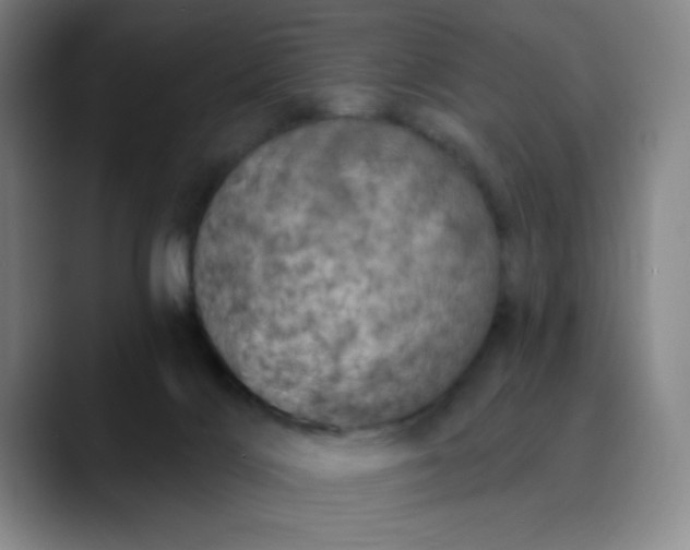 X0000089900028200707121858