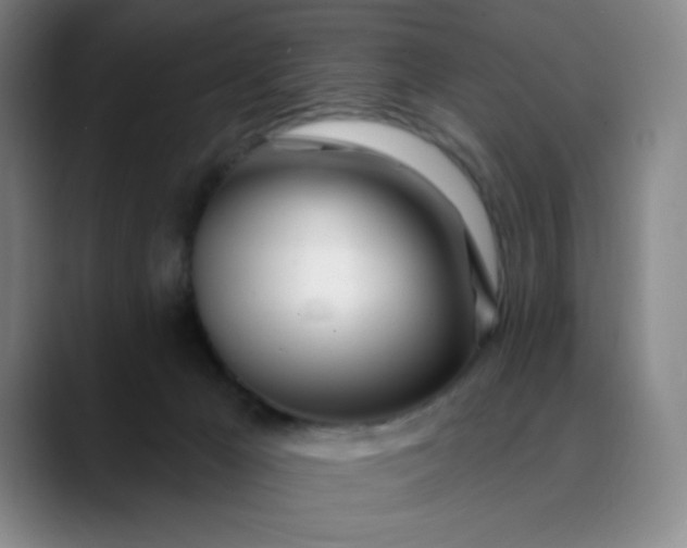 X0000089900029200707121858