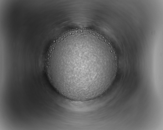 X0000089900030200707121858