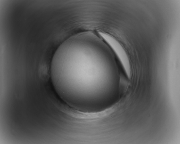 X0000089900031200707121858
