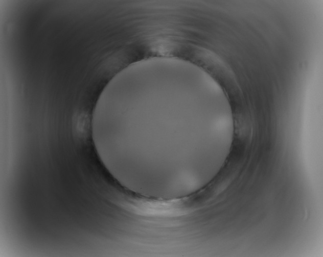 X0000089900036200707121857