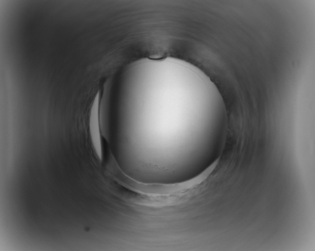 X0000089900037200707121857