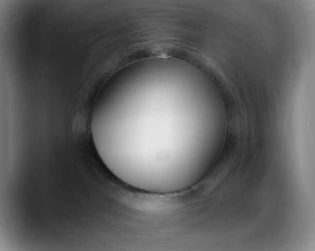 X0000089900044200707121857