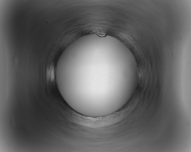 X0000089900046200707121857