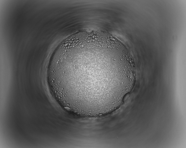 X0000089900049200707121857