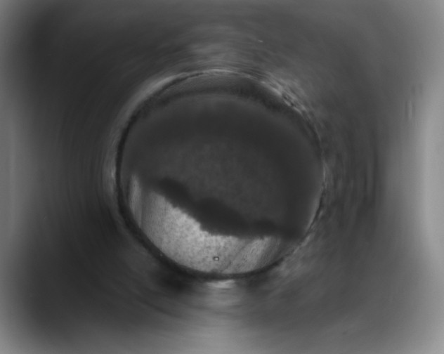 X0000089900054200707121857