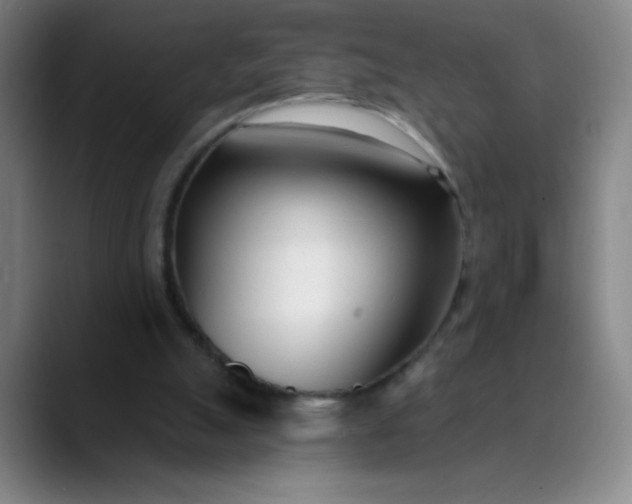 X0000089900055200707121857