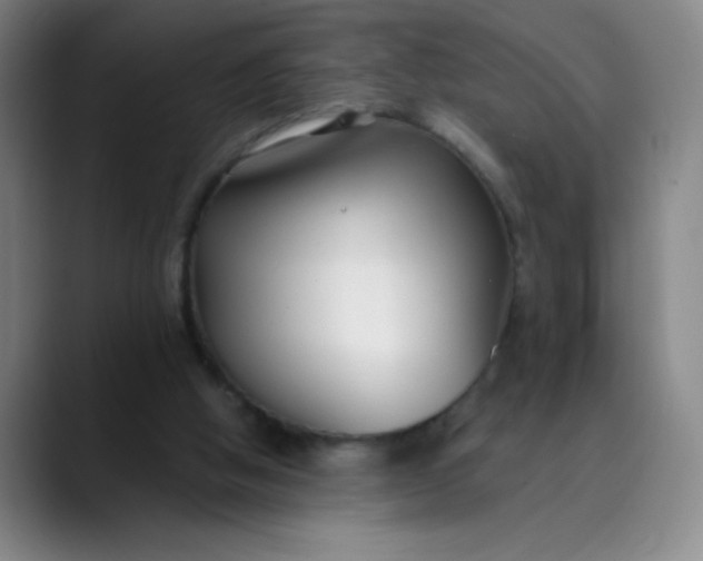 X0000089900058200707121857