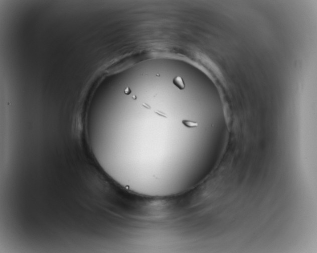 X0000089900059200707121857