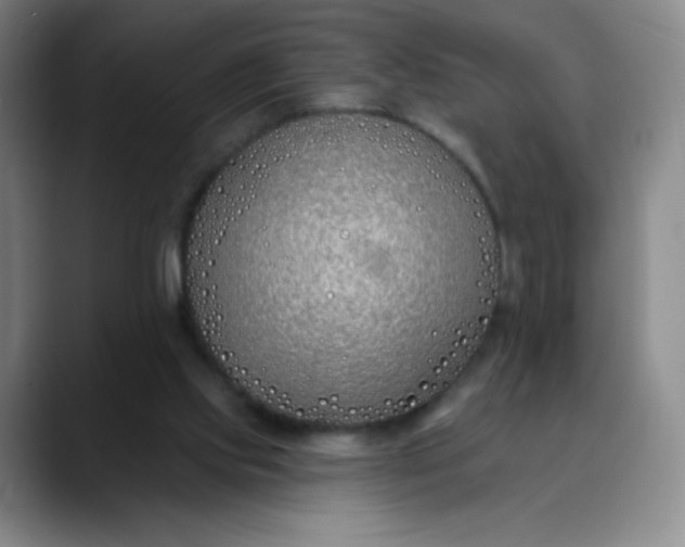 X0000089900061200707121857
