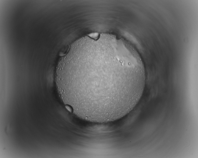 X0000089900065200707121857
