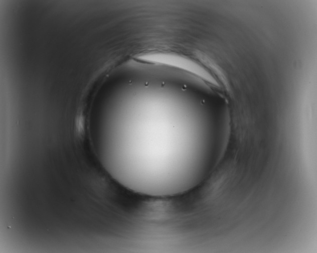 X0000089900067200707121857