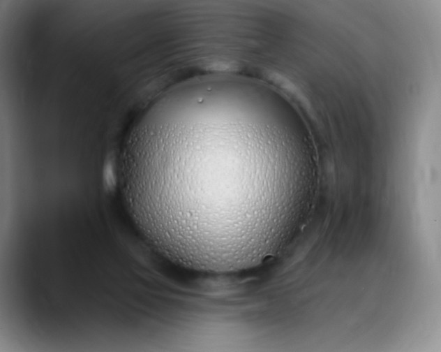 X0000089900069200707121857