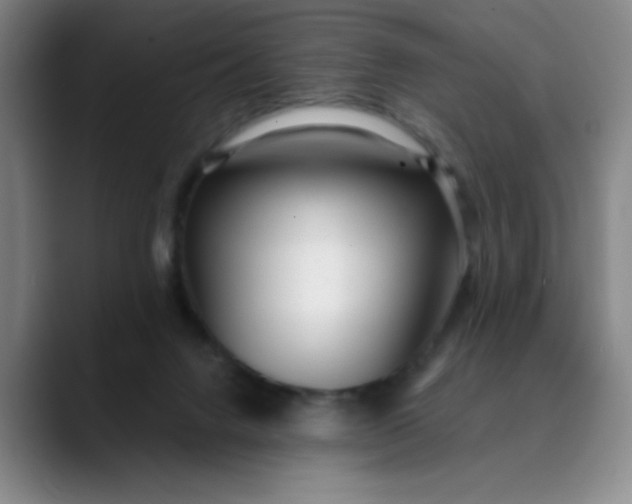 X0000089900072200707121857