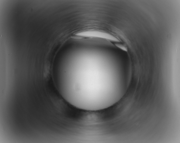 X0000089900073200707121857