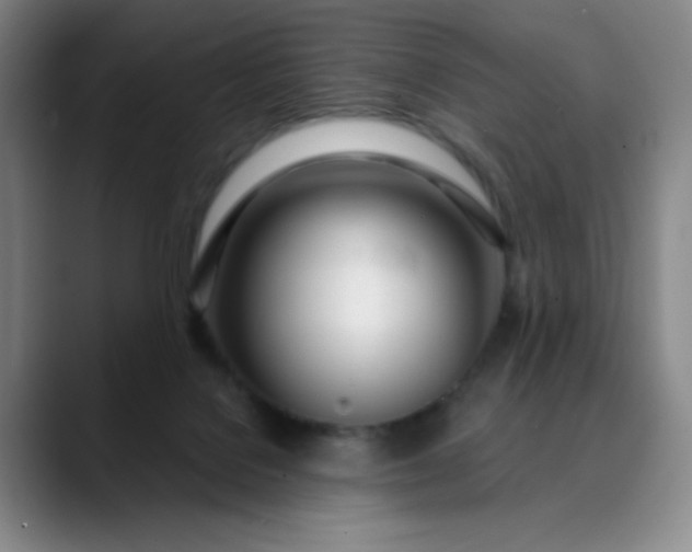 X0000089900076200707121857